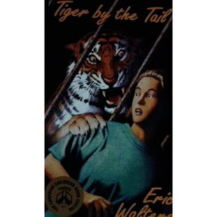 沙堡系列原版书英语骑虎难下Tiger冒险故事获奖章节书加拿大儿童图书中心推荐书目适合710岁儿童阅读讲述两个孩子面对危机展现勇