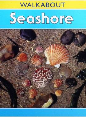 英语原版书漫步系列WALKABOUT海滨儿童科普绘本亨利普拉克罗斯著彩色插图生动展现海岸线形成潮汐原理和海洋生物多样性适合710岁