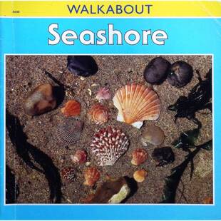 英语原版书漫步系列WALKABOUT海滨儿童科普绘本亨利普拉克罗斯著彩色插图生动展现海岸线形成潮汐原理和海洋生物多样性适合710岁