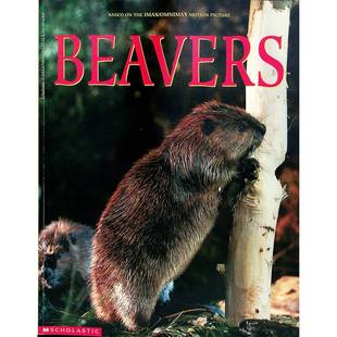 海狸原版书英语绘本科普Beavers北美动物亲子共读学乐出版彩色非小说类儿童读物710岁适读Lexile800L通过IMAX电影精美照片展示海