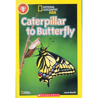 英文原版图书毛毛虫变蝴蝶绘本