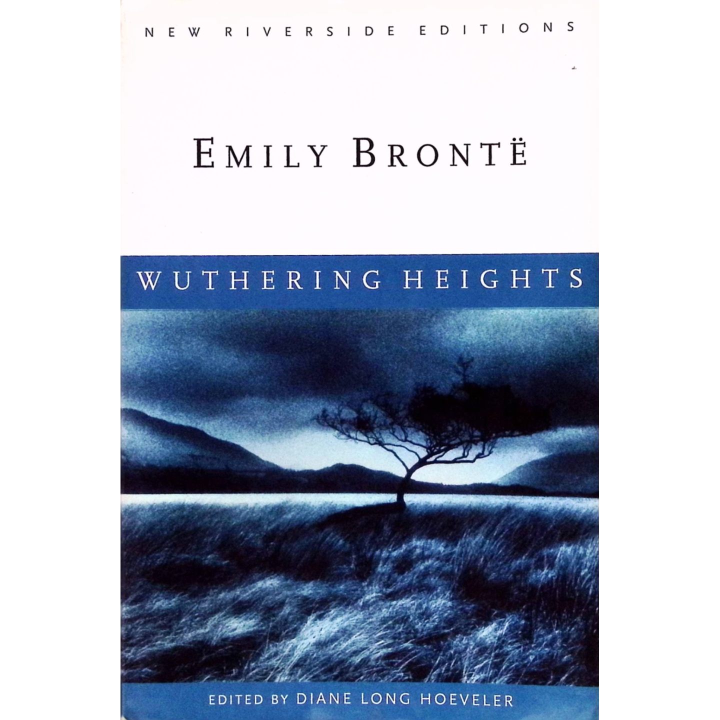 英文原版图书经典英语小说呼啸