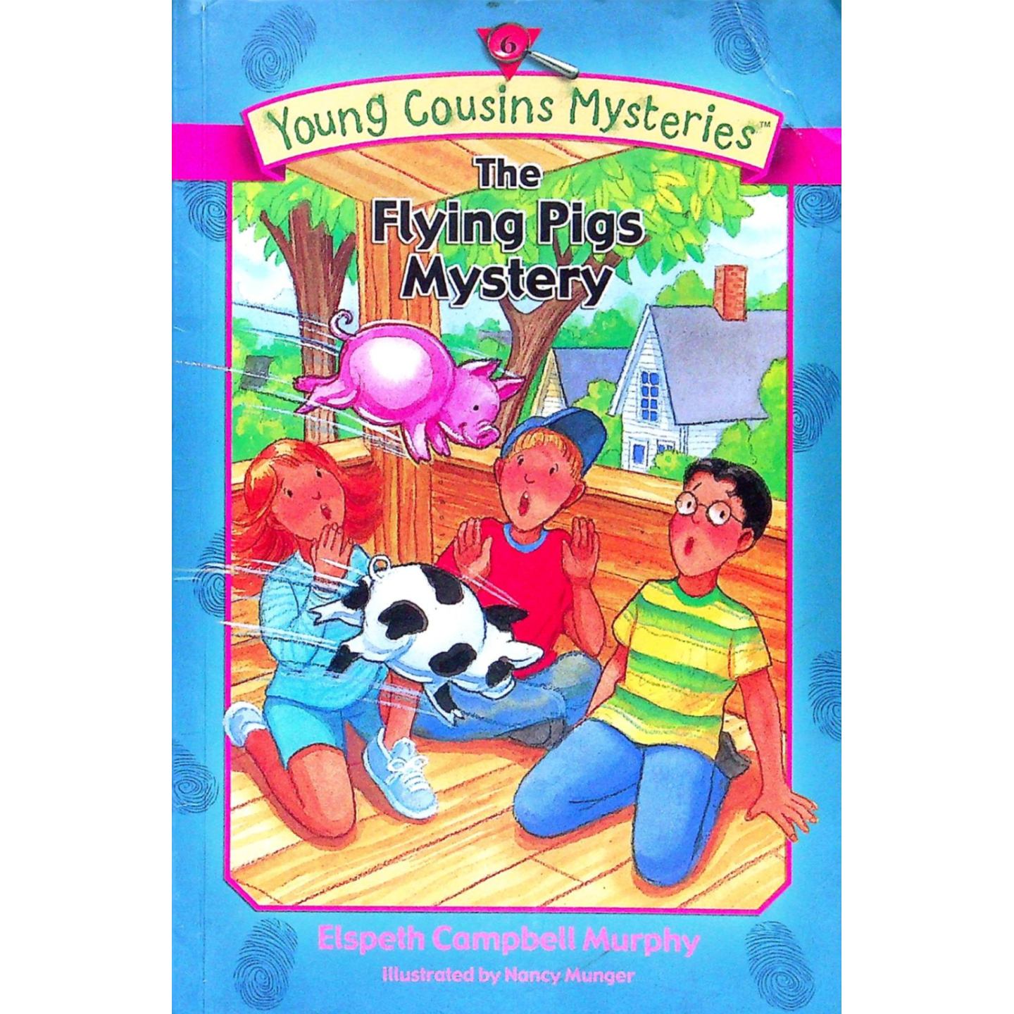 英文原版图书飞猪谜团侦探童书