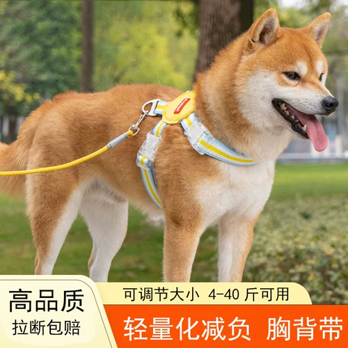 Дроящая веревка для собак маленькая и маленькая собачья веревка для собак, Шибай Ину Корнди Медвежь