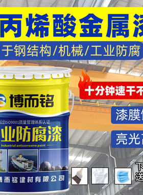 亮光丙烯酸面漆户外金属漆