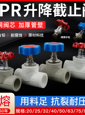 PPR升降式铜截止阀ppr阀门2025mm四六分管自来水开关管件配件灰色
