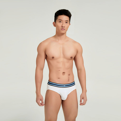 Oengus男士三角内裤性感透气