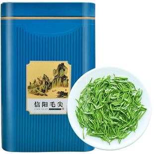 毛尖茶叶信阳毛尖全芽2025新茶明前特级浓香型春茶官方绿茶礼盒装