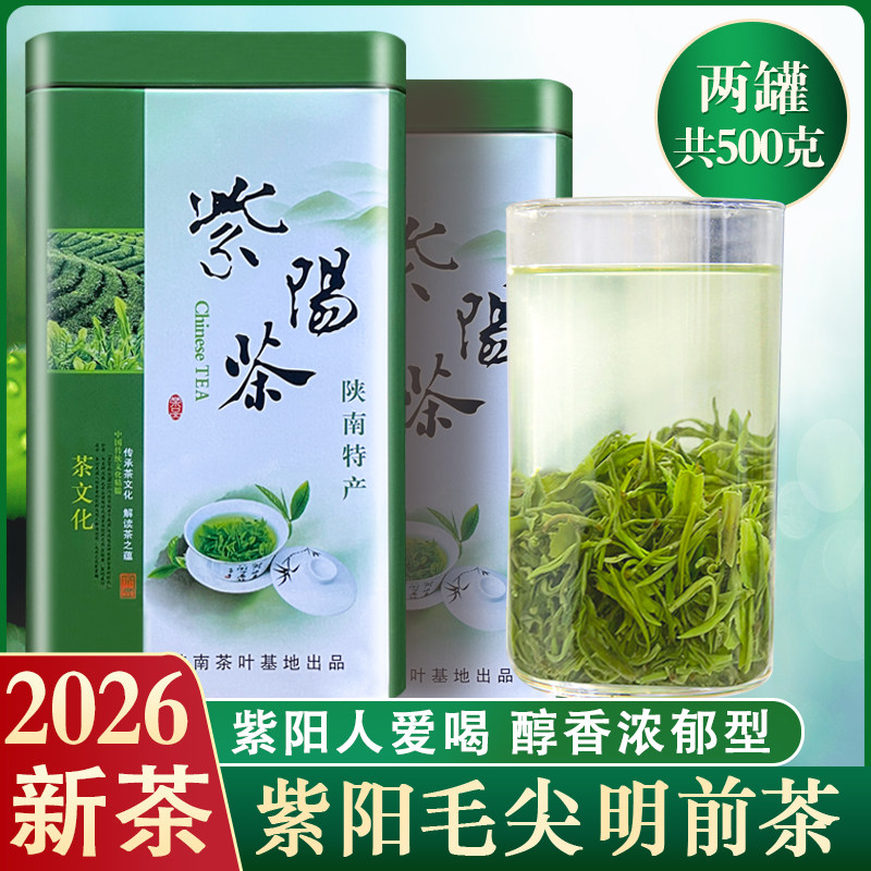2026新茶精品紫阳毛尖实惠型500g