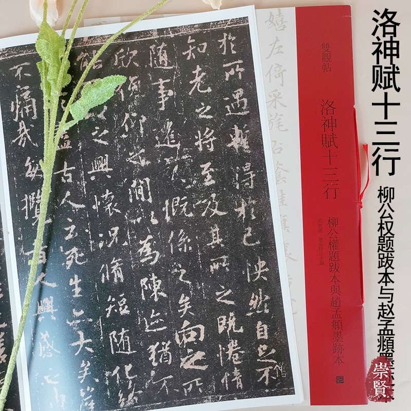 双观帖洛神赋十三行 柳公权题跋本与赵孟頫墨迹本百种双观百条门径简繁旁注放大对照原碑原帖初学毛笔字帖临摹范本邓宝剑 赵安悱编