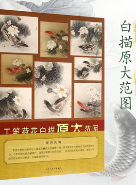 【白描稿12幅】工笔荷花白描原大范本路雨年绘工笔花鸟游鱼画法彩稿范画8开范本天津人民美术出版