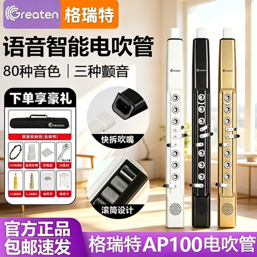 Greaten格瑞特新款AP100电吹管