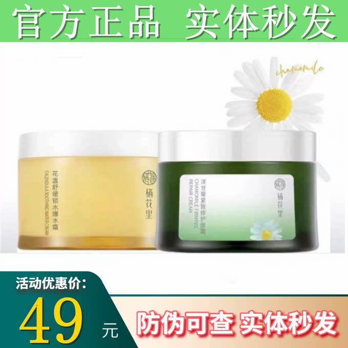 栖花里金盏花爆水霜洋甘菊多重紧