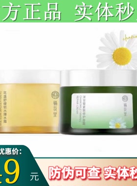 栖花里金盏花爆水霜洋甘菊多重紧