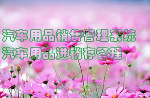 汽车用品销售管理系统软件进销存仓库出入库商品财务客户推荐新源