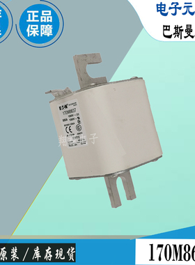 170M8630 170M8631 170M8632巴斯曼全新电子熔断器Bussmann保险丝