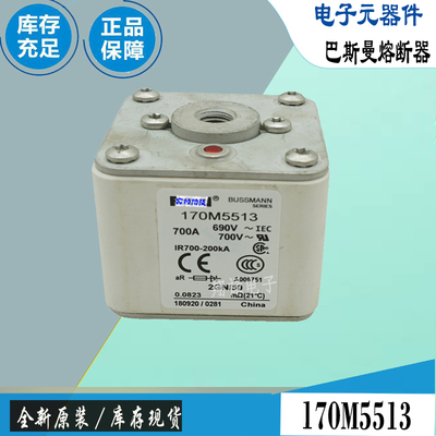 巴斯曼170M5513170M5514保险丝