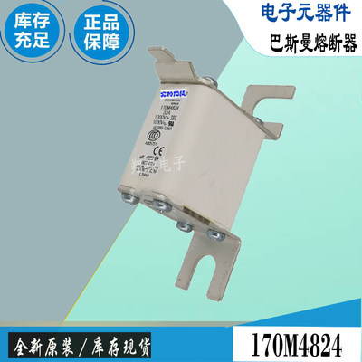 巴斯曼170M4008170M4009保险丝