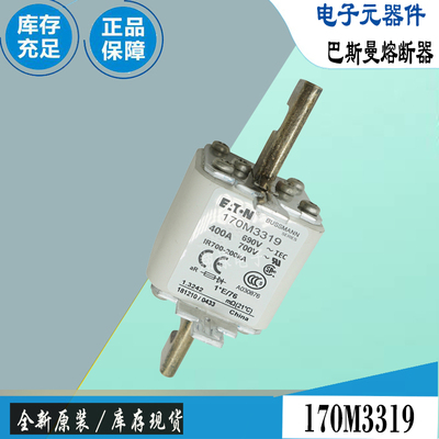 170M3316 170M3317 170M3318巴斯曼全新电子熔断器Bussmann保险丝