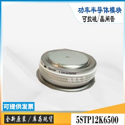 5STP17H5200 5STP12K6500全新库存电子功率ABB晶闸管可控硅模块