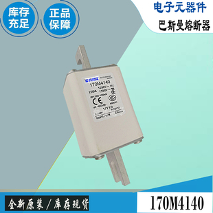 170M4114 170M4115 170M4116巴斯曼全新电子熔断器Bussmann保险丝