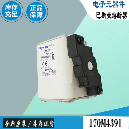 巴斯曼170M4390170M4391保险丝