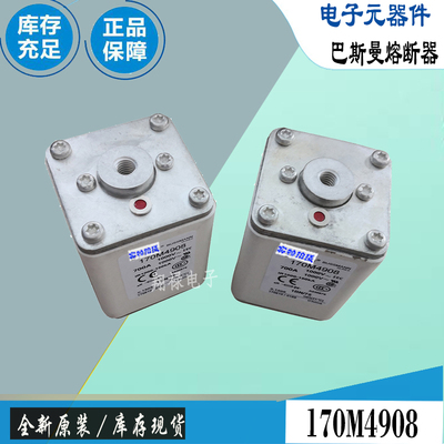 巴斯曼170M4059170M4060保险丝