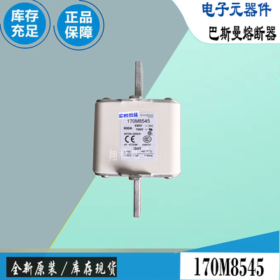 巴斯曼170M8536170M8537保险丝
