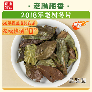 南山牧云正宗福鼎2018老枞梅香寿眉冬片老白茶高山老树品鉴口粮茶