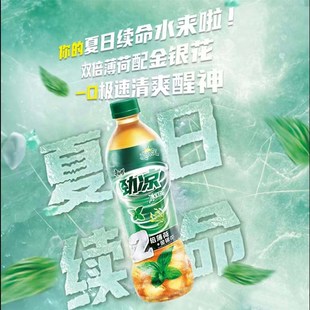 王一博同款康f师傅冰红茶双倍薄荷劲凉添加金银花500ml*15瓶夏日