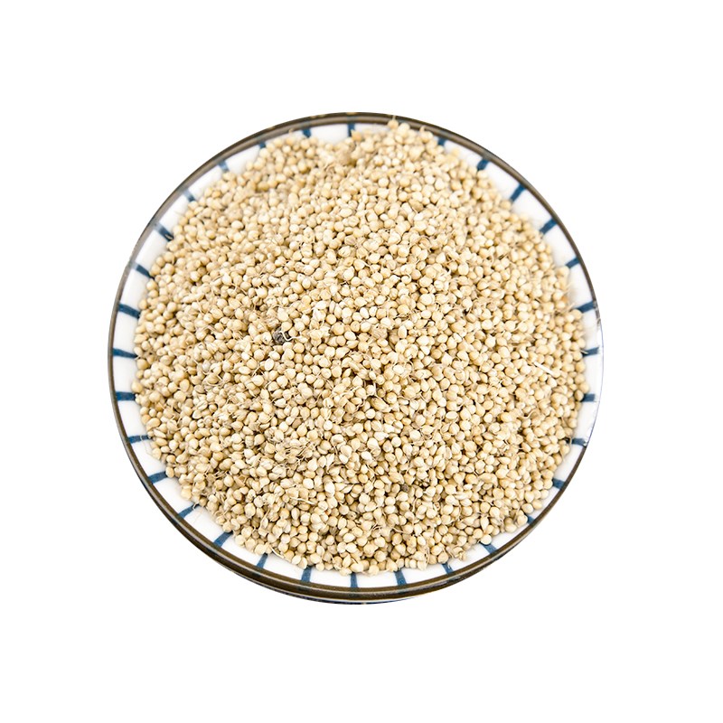 500g谷d芽中药材炒谷芽谷牙生谷芽炒熟的泡茶另售炒麦芽山楂鸡内