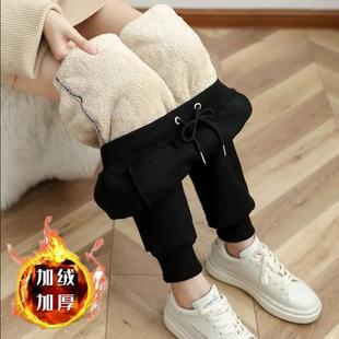 秋冬加绒裤子女宽松休闲哈伦加厚羊羔绒冬季保暖棉裤外穿运动卫裤