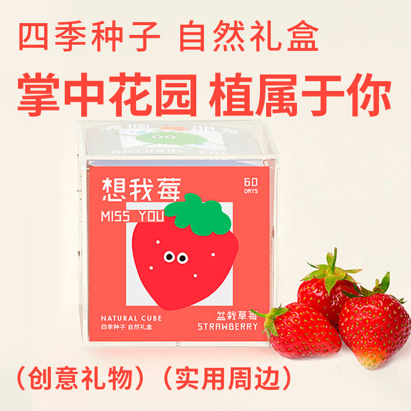 自然士多 植物罐头种子礼盒 定制伴手礼趣味种菜迷你种植小盆栽
