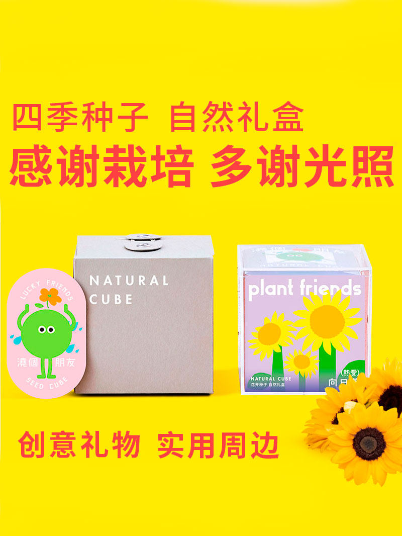 自然士多 鲜花种子礼盒 进口花种籽盆栽春夏好养伴手礼DIY定制