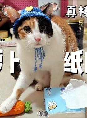 萝卜纸巾猫玩具猫咪帽子可爱兔子警官针织帽手工钩织宠物小猫头套