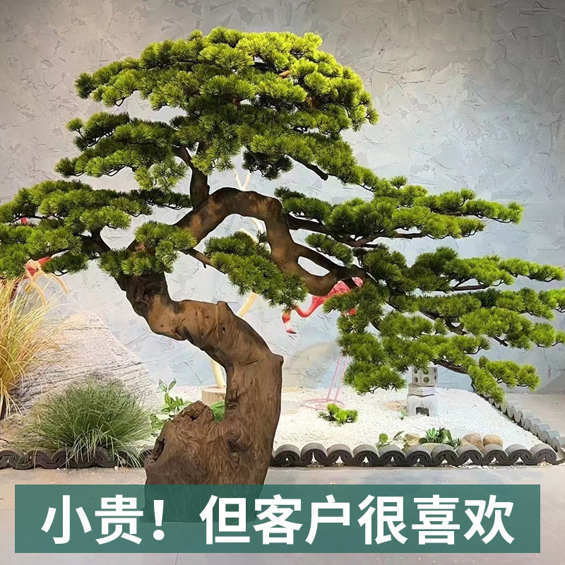 彷真松树迎客松盆景枯山水假树样品屋展示中心楼梯口室内干景绿植