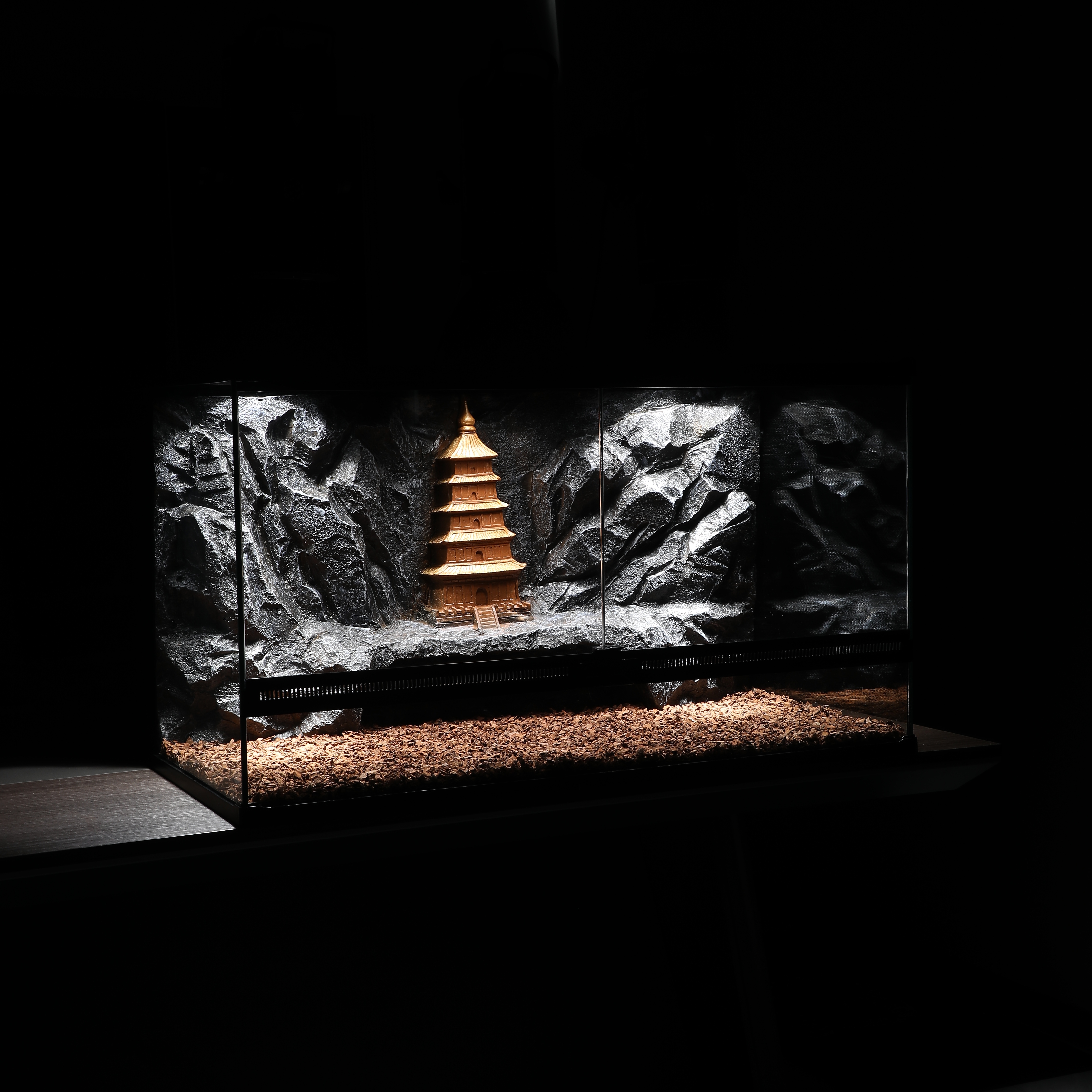 爬宠缸蜥蜴守宫鬃狮造景缸