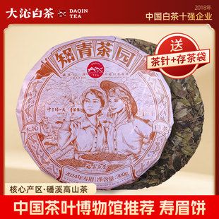 大沁白茶2024年春茶 福鼎白茶寿眉饼 磻溪知青茶园