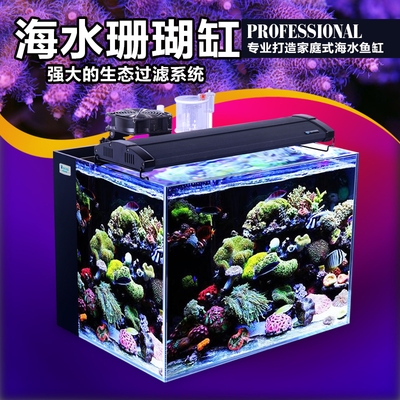 60海水缸价格 60海水缸图片 星期三