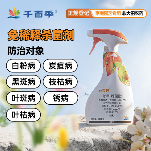 千百季免稀释杀菌剂花枝俏多菌灵