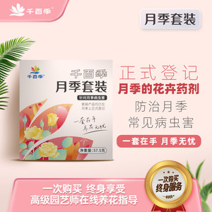 组合月季组合千百季好青闲倍青净