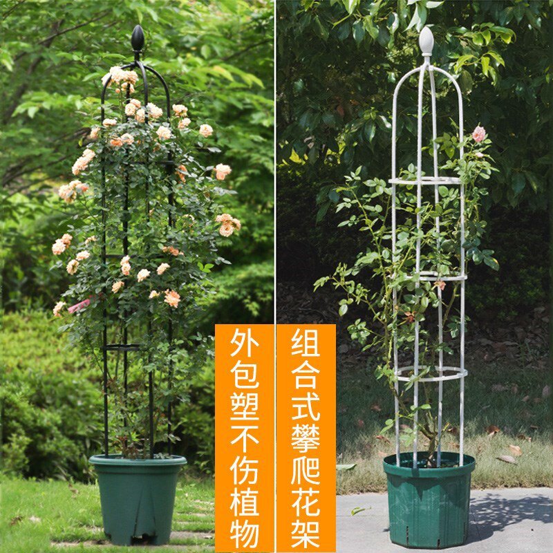 园艺铁环花支柱多少钱 园艺铁环花支柱优惠券免费领取 有条鱼