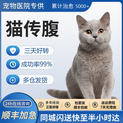 猫传腹喵咪传腹针剂油剂水剂口服片剂腹膜炎抑制剂消腹水营养补充