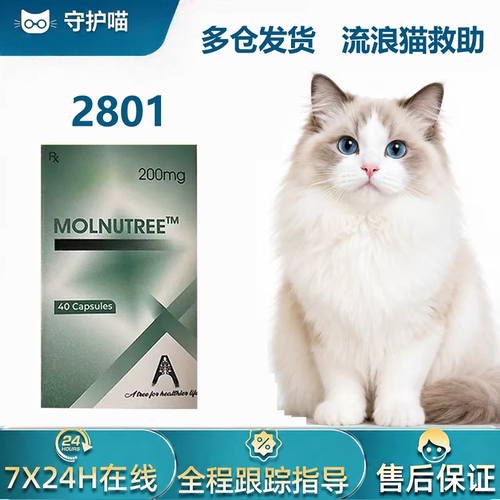 2801印度进口猫咪绿色胶囊口服
