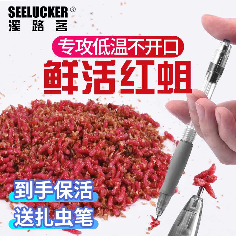 肉饲精养活蛆送扎虫笔