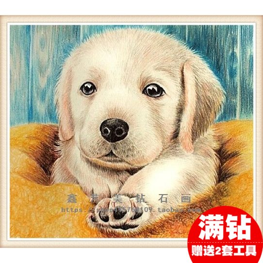 diy钻石绣小画动物可爱狗狗拉布拉多小狗钻石画十字绣