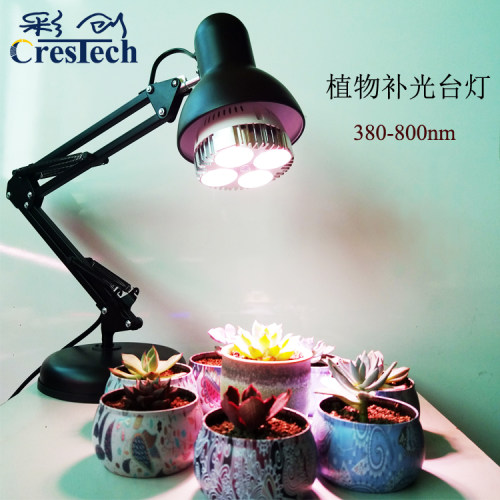 植物花卉台灯价格 植物花卉台灯图片 星期三