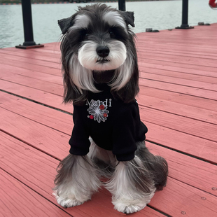 狗狗衣服宠物2026新款韩国小雏菊春夏季泰迪比熊雪纳瑞冬季小型犬