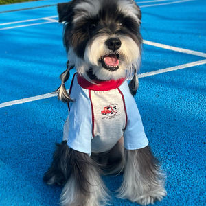 狗狗衣服夏季薄款T恤宠物短袖凉凉衣防晒拼色夏天比熊雪纳瑞小狗