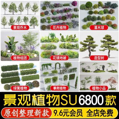 园林景观庭院植物花草树木绿篱乔木花卉灌木丛地被草图大师SU模型